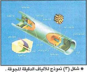 شكل3 - نموذج للألياف الدقيقة المجوفة